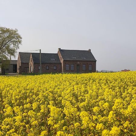 Spacious Holiday Home With Pond In Poperinge Roesbrugge-Haringe Buitenkant foto