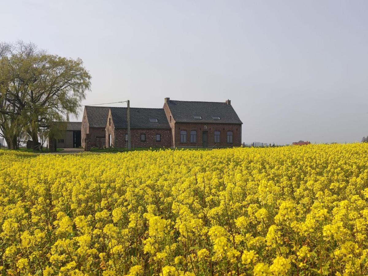 Spacious Holiday Home With Pond In Poperinge Roesbrugge-Haringe Buitenkant foto