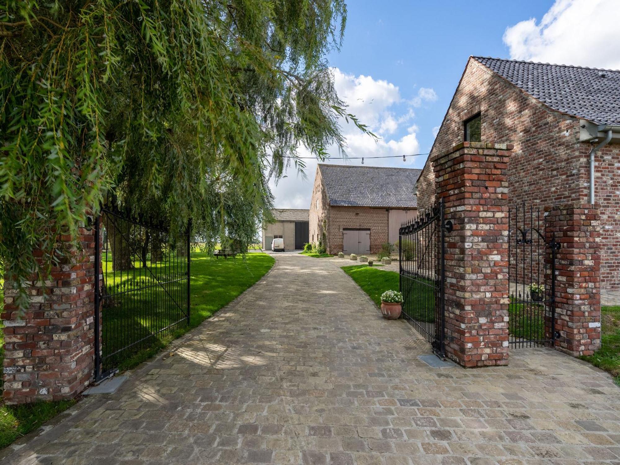 Spacious Holiday Home With Pond In Poperinge Roesbrugge-Haringe Buitenkant foto